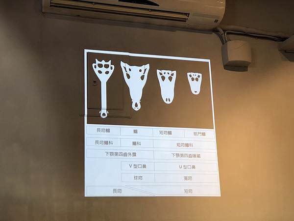 相片 2019-11-15 上午10 35 35.jpg