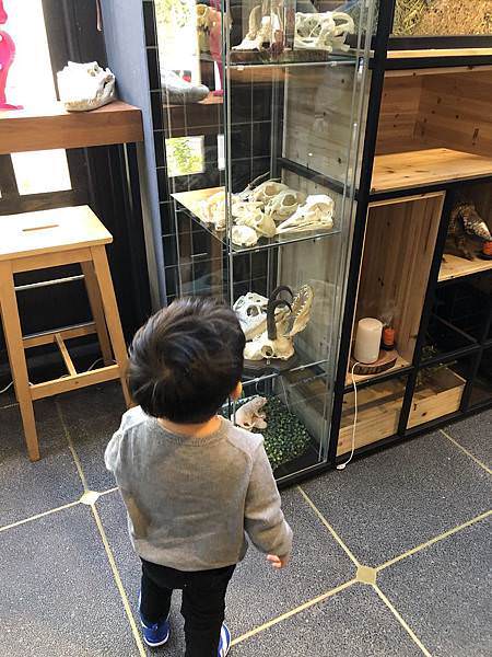 相片 2019-11-15 上午10 02 52.jpg
