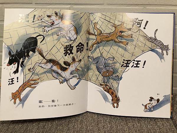 相片 2020-5-22 上午12 28 23.jpg