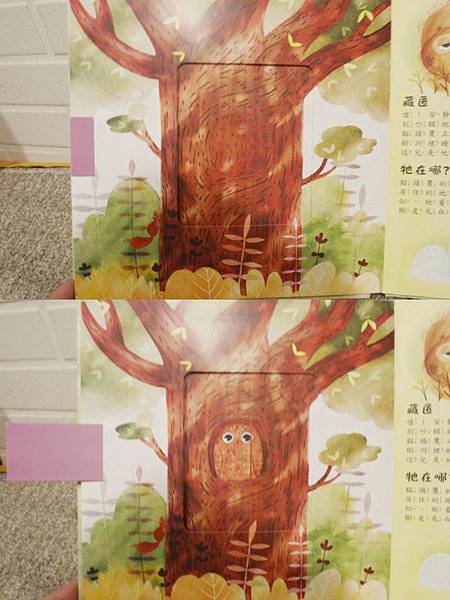 相片 2020-6-7 下午2 29 50.jpg