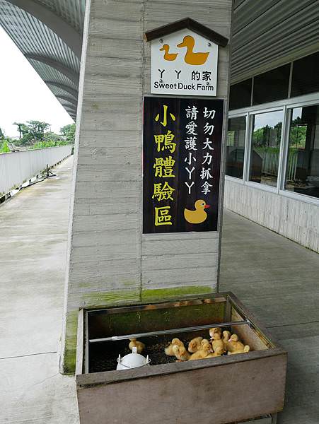 P1100616.JPG